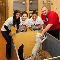 NIU Cares Day