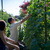 Robb Garden Market Day