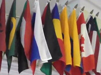International Night