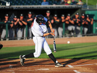 Pacific Baseball vs. Loyola Marymount