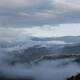 Life in the Cloud Forest: A Story of Resistance and Renewal