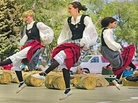 Basque Roots