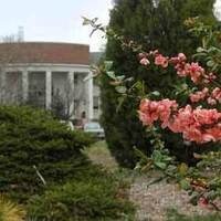 Guided Walk of 2014 Spring Plant Sale Highlights