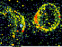 Physics and Astronomy Colloquium Physics and Astronomy Colloquium