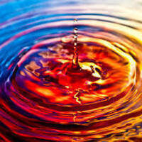 Screening of The Ripple Effect
