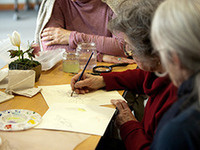 The Art of Nature: Water Color Journal