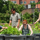 Greening the City: An Earth Day Panel on Urban Green Space