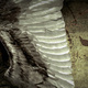 NAU Theatre: "Angels in America: The Millennium Approaches" NAU Theatre: "Angels in America: The Millennium Approaches"