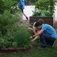 Garden Commons Summer Workdays