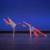 Dance Ensemble Concert
