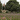 Copley Lawn