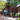 Gladys L. Benerd School of Education Gladys L. Benerd School of Education