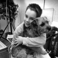 mit liv som hund mit liv som hund
