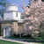 Fall/Winter Planetarium Shows Fall/Winter Planetarium Shows