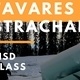 Tavares Strachan - Glass Dept Lecture Tavares Strachan - Glass Dept Lecture
