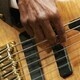 Bass Studio Recital Bass Studio Recital