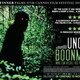 Thursday Evening Film Screening