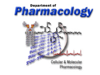 Pharmacology Graduate Student Workshop - Charlotte Feddersen