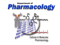 Pharmacology Graduate Student Workshop - Brittany Ripley