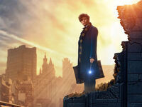 CAB Presents: Fantastic Beasts and Where to Find Them