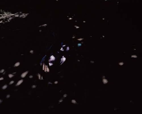 The Shadow