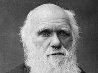 Darwin Day Darwin Day