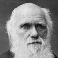 Darwin Day