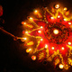 Diwali Dinner at Mission