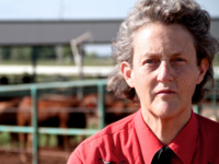 Dr. Temple Grandin | Understanding Animal Behavior