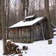 Maplefest! Maplefest!