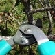 Learn Locally: Pruning Learn Locally: Pruning