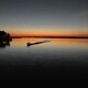 A Sense of Place: the Sacramento-San Joaquin Delta by Dr. Bob Benedetti, Professor Emeritus A Sense of Place: the Sacramento-San Joaquin Delta by Dr. Bob Benedetti, Professor Emeritus