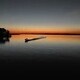 A Photographer's Romance with the Sacramento-San Joaquin Delta A Photographer's Romance with the Sacramento-San Joaquin Delta