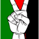 Israel, Apartheid, and the Struggle for Palestine: a talk with Sherry Wolf