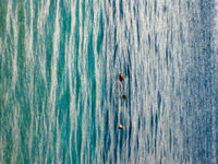 APEX: Sam Hamilton APEX: Sam Hamilton