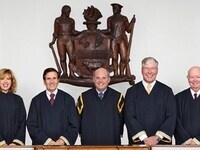 Chief Justice Strine Chief Justice Strine