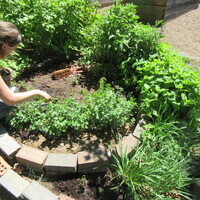 Garden Commons Summer Workdays