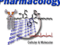 Pharmacology Faculty Seminar - Huxing Cui, Ph.D.