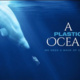 Cinema by the Sea: A Plastic Ocean Cinema by the Sea: A Plastic Ocean