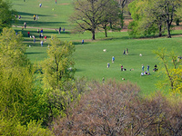 RISD/NY Alumni Picnic RISD/NY Alumni Picnic