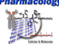 Pharmacology Postdoctoral Workshop - Pablo Nakagawa, Ph.D.