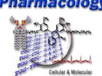 Pharmacology Postdoctoral Workshop - Zili Luo, M.D., Ph.D.