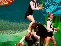 Circa, "Carnival of the Animals"