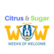 Citrus and Sugar Citrus and Sugar