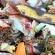 Composting and Food Scraps Composting and Food Scraps