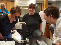 Disease and Insect Identification Workshop Disease and Insect Identification Workshop