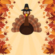 Thanksgiving Break