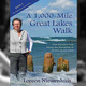 A 1000-MILE GREAT LAKES WALK A 1000-MILE GREAT LAKES WALK