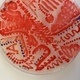 Science+Art+Design Workshop: Painting with Biopigments