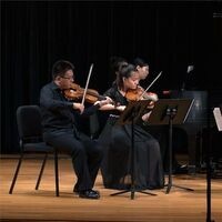 Chamber Music Competition - Master Players Festival